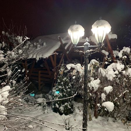 Міні Готель Вілла Вікторія Berehove  Esterno foto