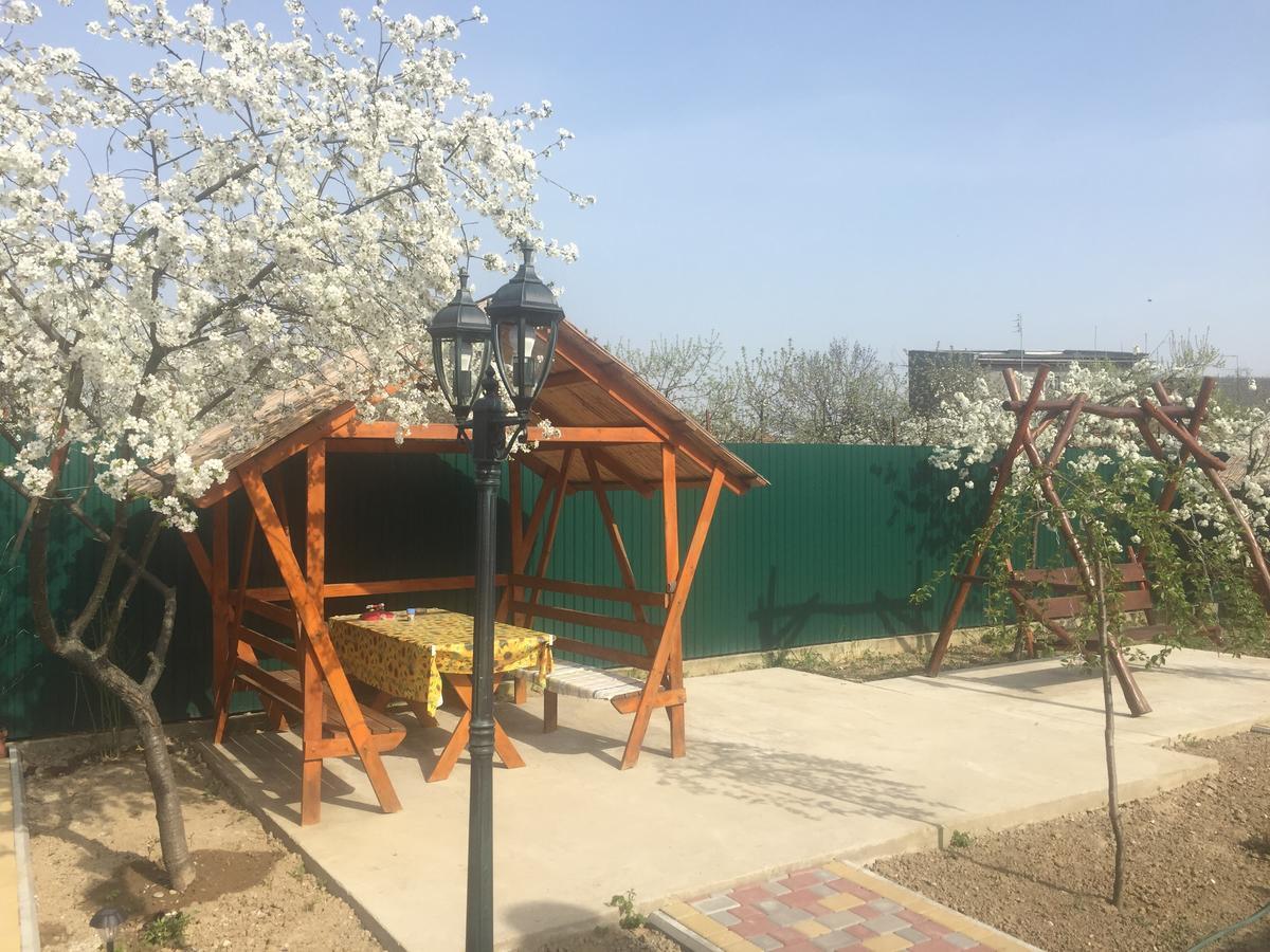 Міні Готель Вілла Вікторія Berehove  Esterno foto