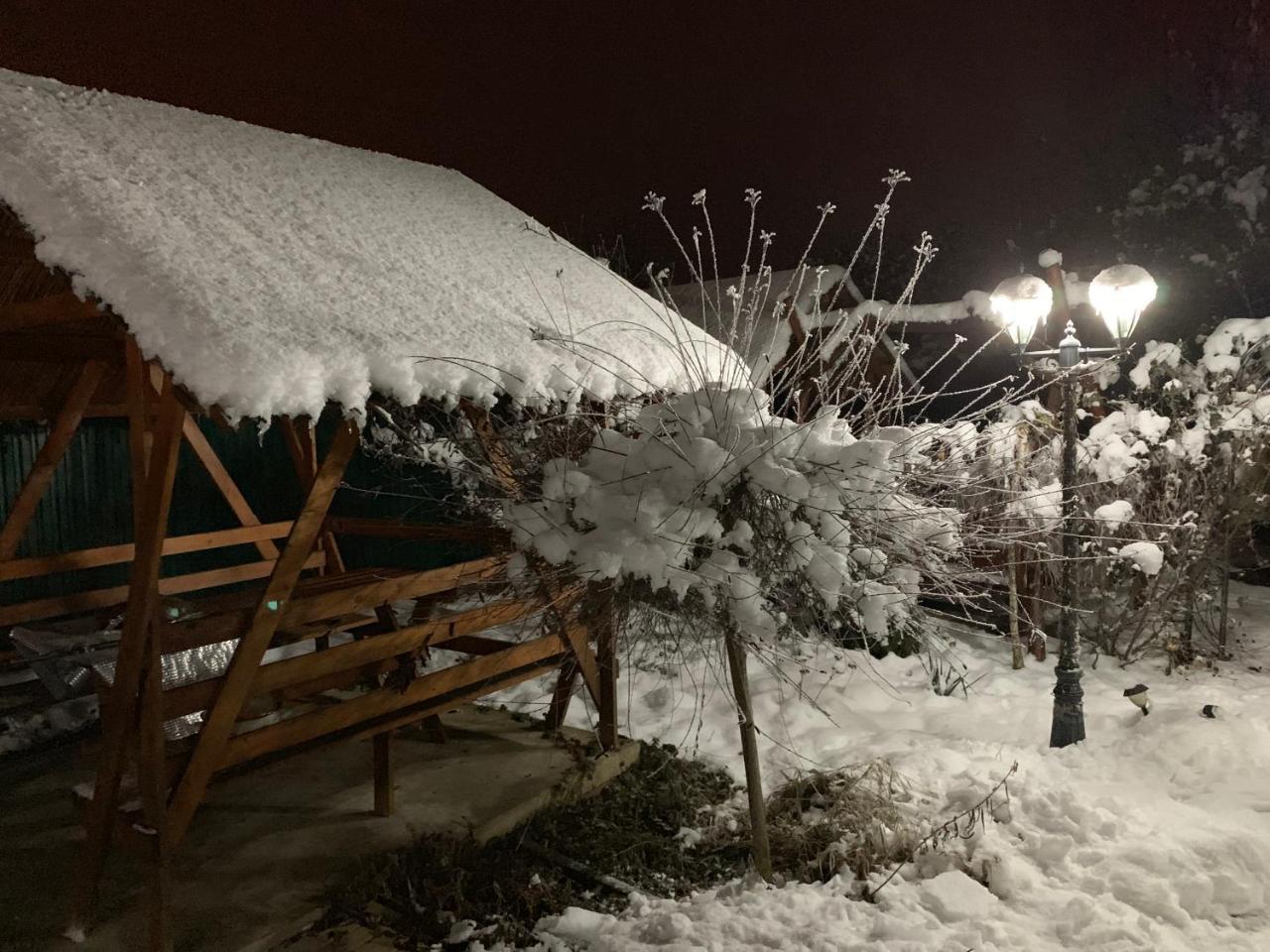 Міні Готель Вілла Вікторія Berehove  Esterno foto
